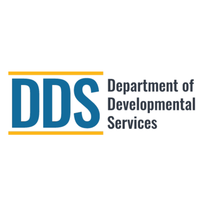 DDS logo square no background